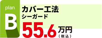 カバー工法　Bプラン